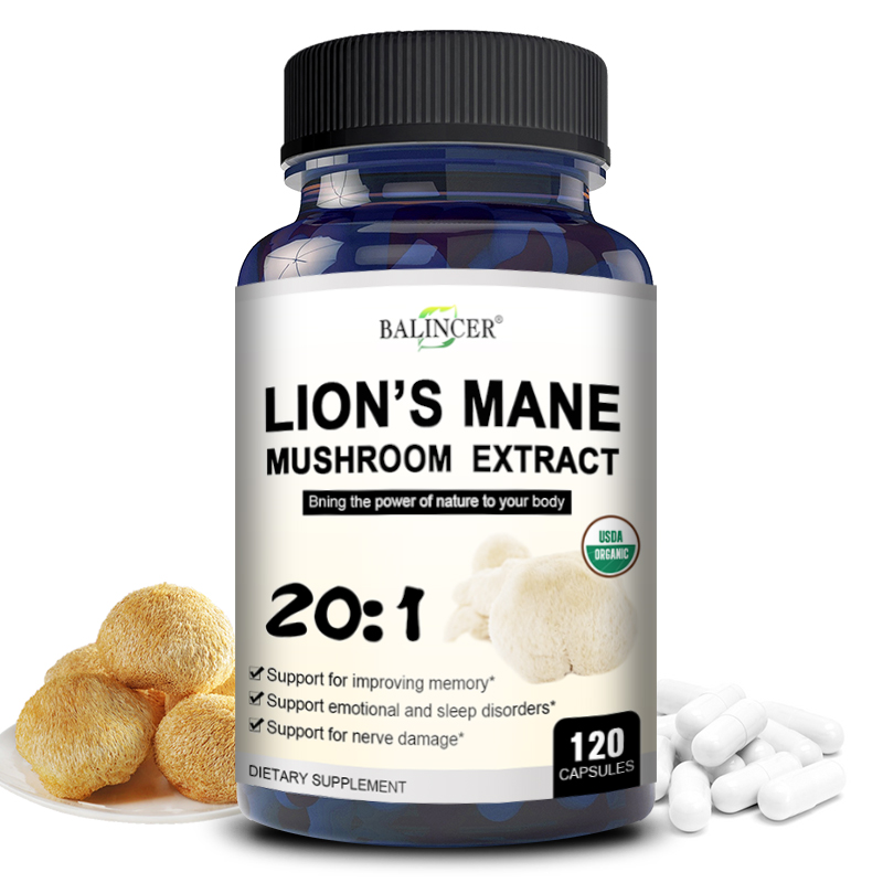 Lion Mane Mushroom - Lion's Mane - Nootropika wspomagająca pamięć