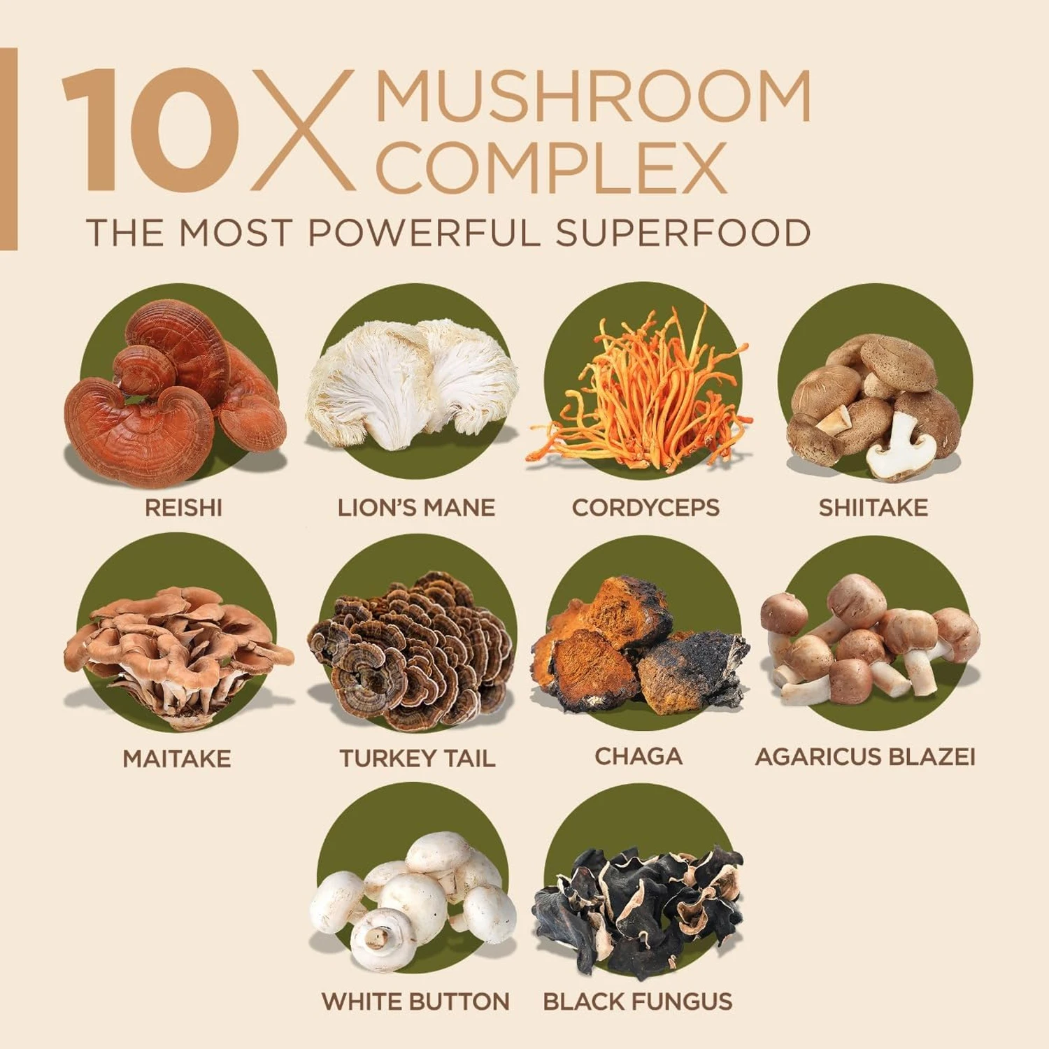 10x Kapsułki z Kompleksem Grzy – Lion Mane Mushroom recenzja i cena