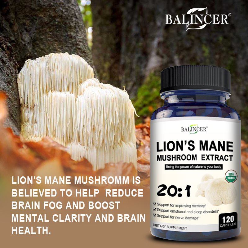 Lion's Mane - Nootropika wspom – Lion Mane Mushroom recenzja i cena