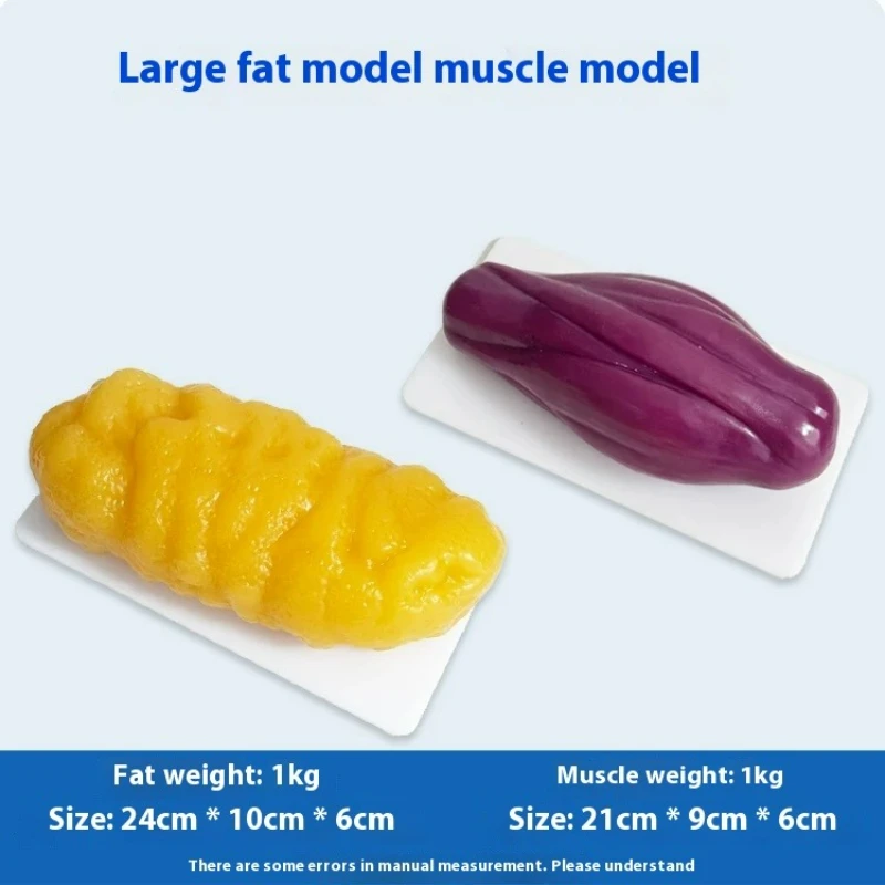 Repliki ludzkich mięśni i tkan – Nutrition In Fitness recenzja i cena
